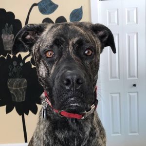 Meet your Posher, Ryann